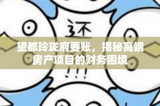 望都玲珑府要账，揭秘高端房产项目的财务困境