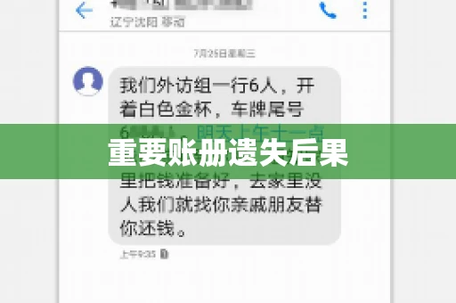 重要账册遗失后果