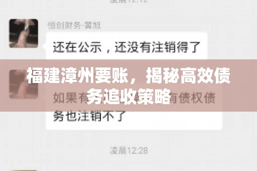 福建漳州要账，揭秘高效债务追收策略