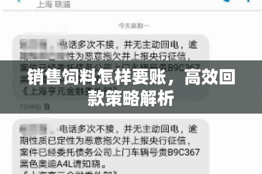 销售饲料怎样要账，高效回款策略解析