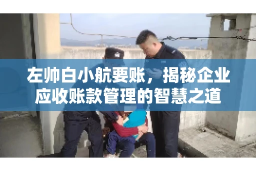 左帅白小航要账，揭秘企业应收账款管理的智慧之道