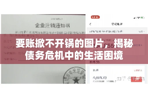 要账掀不开锅的图片，揭秘债务危机中的生活困境