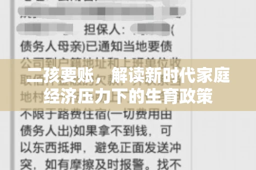 二孩要账，解读新时代家庭经济压力下的生育政策