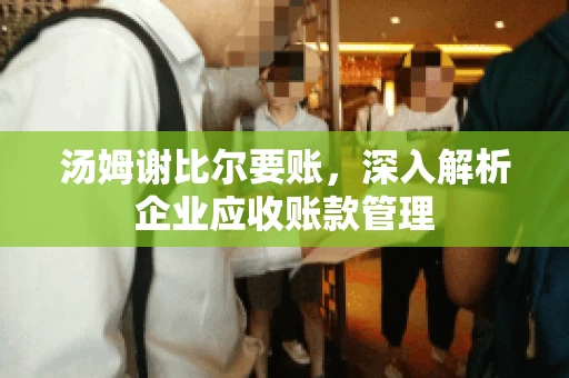 汤姆谢比尔要账，深入解析企业应收账款管理