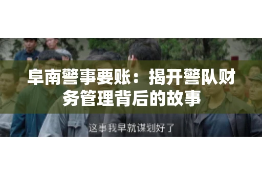 阜南警事要账：揭开警队财务管理背后的故事