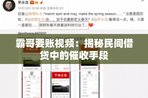 霸哥要账视频：揭秘民间借贷中的催收手段