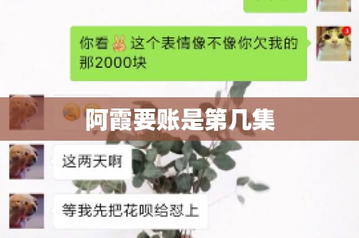 阿霞要账是第几集