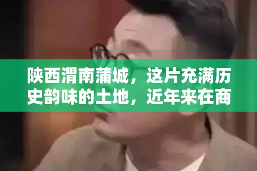 陕西渭南蒲城，这片充满历史韵味的土地，近年来在商业活动中也展现出了其独特的活力。其中，关于“陕西渭南蒲城要账”的话题，成为了不少企业关注的焦点。今天，我们就来聊聊这个话题，看看在蒲城，要账的那些事儿。