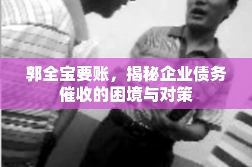 郭全宝要账，揭秘企业债务催收的困境与对策