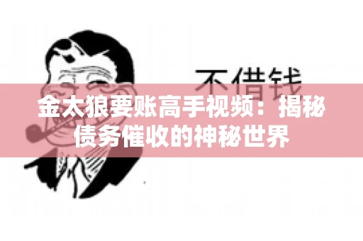 金太狼要账高手视频：揭秘债务催收的神秘世界