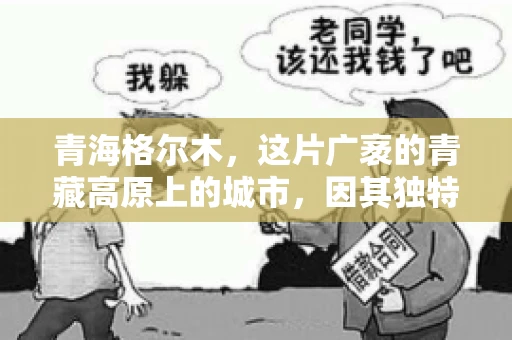青海格尔木，这片广袤的青藏高原上的城市，因其独特的地理位置和丰富的自然资源而闻名。然而，对于一些借款人来说，这里可能因为逾期还款而接到催收电话。那么，青海格尔木的催收电话是哪家公司的呢？今天，我们就来聊聊这个话题。