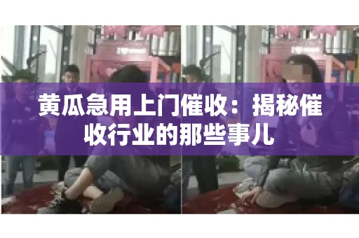 黄瓜急用上门催收：揭秘催收行业的那些事儿