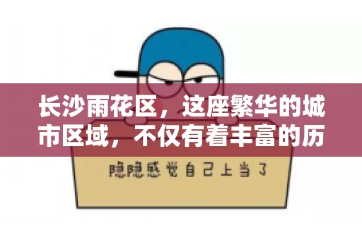 长沙雨花区，这座繁华的城市区域，不仅有着丰富的历史文化，还有着繁忙的金融活动。其中，催收公司作为金融行业的一个重要组成部分，在这里也有着不少的身影。那么，长沙雨花区都有哪些催收公司呢？今天，我们就来聊聊这个话题。
