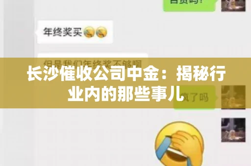 长沙催收公司中金：揭秘行业内的那些事儿