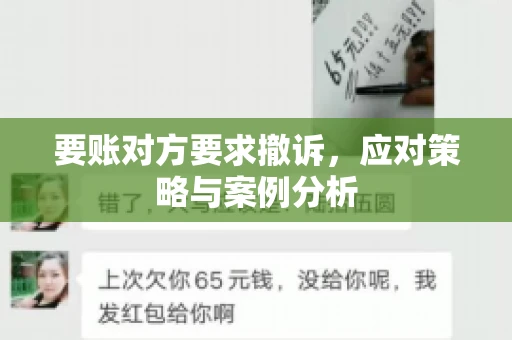 要账对方要求撤诉，应对策略与案例分析